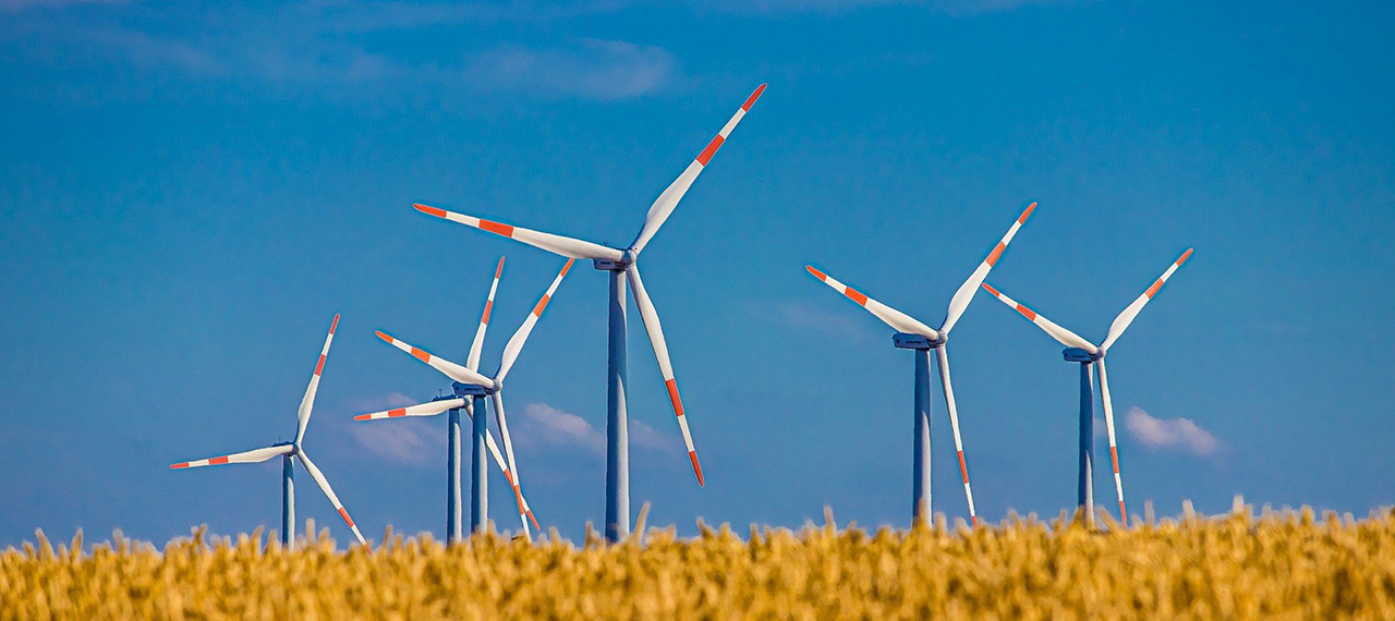 Чтобы ветер дул не даром