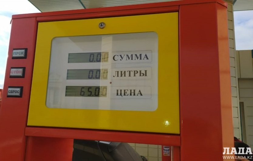 Ставки на газель