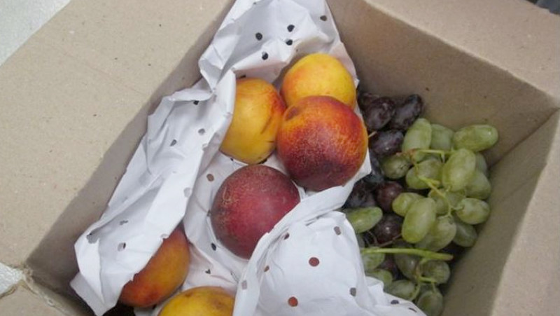 60 килограмм фруктов. Самолет с фруктами. Перевоз фруктов в багаже. Фрукты в ручной клади. Пенопласт для перевозки фруктов.